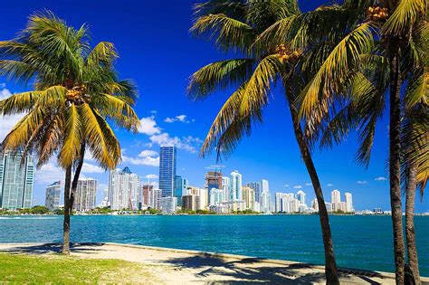 donde tomarse fotos en miami|best photo spots in miami.